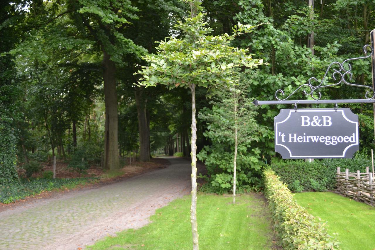B&B 'T Heirweggoed Assenede Eksteriør billede